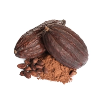 Cioccolato (Chocolate)