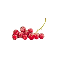 Frutti Rossi (Red Berries)